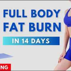 Get a Toned Body in 14 Days 🔥 Full Body Fat Burn Workout – No Jumping, Low Impact | Emma Fit