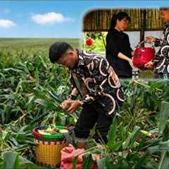 The sweet corn season brought home a special gift for Mr. Thang's family.