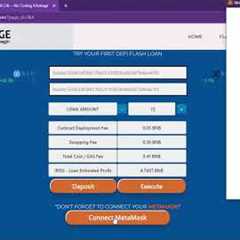 Huge Profits! BNB Flash Loan Arbitrage Pancakeswap Flashloan ! Beginner Guide! No Coding#bnb#crypto