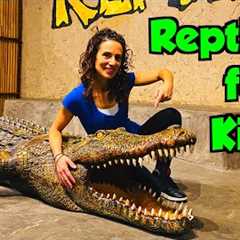 Kids Learn About Reptiles