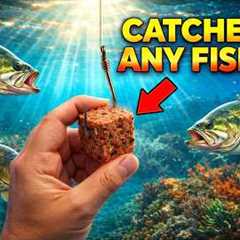 STOP BUYING EXPENSIVE FISHING BAITS! THIS $2 BAIT WORKS 16x BETTER