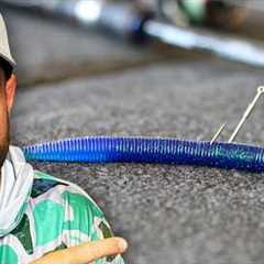 This WACKY RIG Tricks Gets BIG Bites