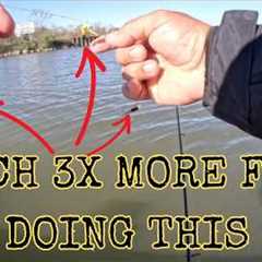 The BEST Shellcracker BAIT That's NOT Worms! #thenextcast