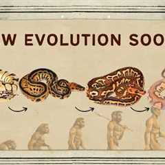 Are Multi Recessives Overworked? What's Next for Ball Pythons?