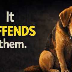 You do this every day… and it hurts your dog