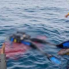 Divers React to Diver Decapitated by Great White Shark