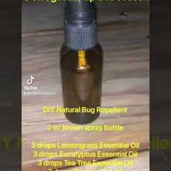 Simple DIY Insect Repellent! #insectrepellent #bugspray #essentialoils #diy