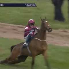 Grand National Horse Gold Dancer Crash and dies in Horrific accident At the Novices Chase on Ladies