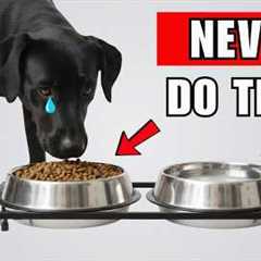 7 DEADLY Mistakes That SHORTEN Your Dog’s Life ( Vets Won’t Tell You)