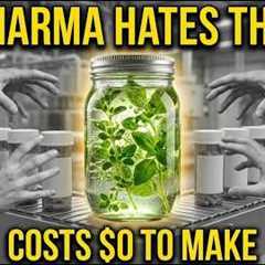Grow Unlimited Medicine In A Jar. No Garden. No Cost. The 5 Min Ferment.