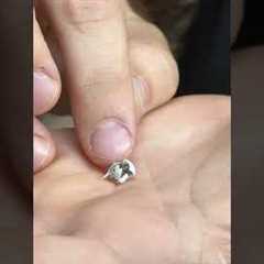 EGG HATCHES IN MY HANDS!