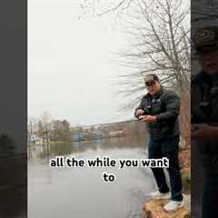 Here’s the masterclass on skipping a bait! #bassfishingtips