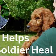 Dog Helps Ex-Soldier Heal | The Dog House 🐶