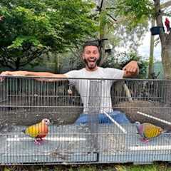 I BOUGHT NEW EXOTIC BIRDS For My AVIARY!