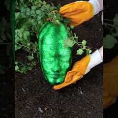 5 Crazy Gardening Hacks That Feel Like Magic! 🤯🌱