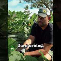 Stop Believing These Watering Myths