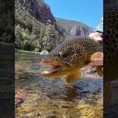 Why Drag Is Killing Your Fly Fishing