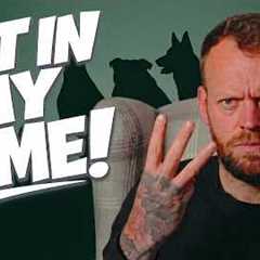 Three popular family dog breeds I will NEVER allow in my home