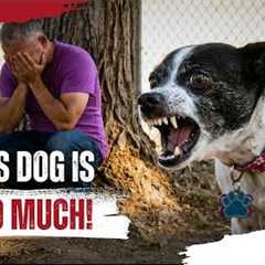 Blood in the Backyard | Cesar Millan’s Most Dangerous Dogs | Ep. 3