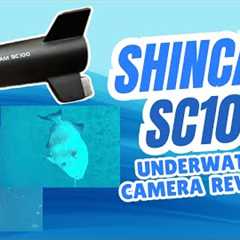 What Fish REALLY Do Underwater… Caught on Camera! SHINECAM SC100