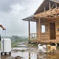 CEO leaves the city — I Built My Wooden House in 35 Days… Then Said Goodbye to This Land | P2