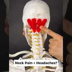 Your NERVOUS system could be causing neck pain + headaches. Try this out! #headaches #neckpainrelief