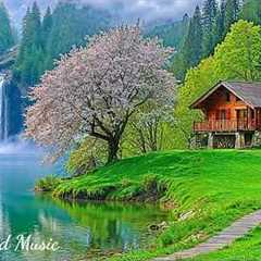 Relaxing Music for the Nervous System 🌿 Music Therapy Helps Reduce Stress & Stop Overthinking