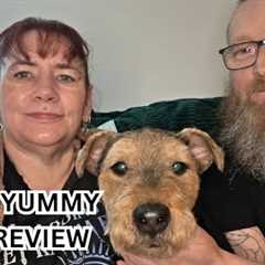 Hello Yummy Box Subscription Review & Unboxing | Snack Taste Test With Paul, Penny & Max 