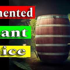 The Ultimate Guide to Making Natural Fertilizer with Fermented Plant Juice (FPJ)