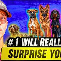 5 Gentle Giants That Are Shockingly Easy to Train