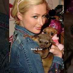 CELEBRITIES WHO HAVE EXOTIC PETS #shorts