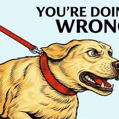 How to Stop Your Dog From Pulling on the Leash (For Good)