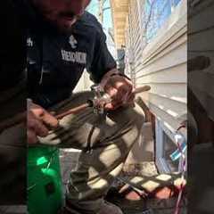 Common Plumbing Repairs: Main Line, Spigot, & Toilet