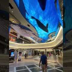 Experience the magic of MSC World Europa’s World Galleria 🐋✨
