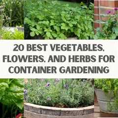 20 BEST Vegetables, Flowers, and Herbs for CONTAINER GARDENING