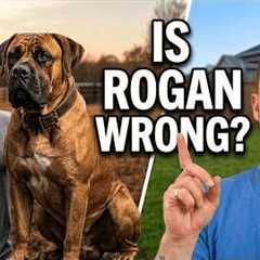 I Can't Believe Joe Rogan Said THIS About My Dog 🤯