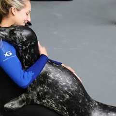 Animal-Human Friendships That Show What True Love & Loyalty Are All About