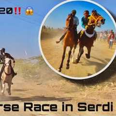 Horse Race in Serdi patti kutch / kutch horse race 🏇 #horse #horserace 