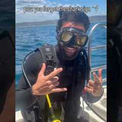 Fun fact I’m a certified scuba diver who hasn’t done this in 7 years