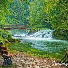 Music Therapy 🌿 Relaxing Music to Reduce Stress, Stop Overthinking, Calming Music, Deep Sleep