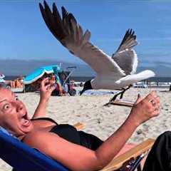 POV: Did That Really Just Happen?! | Funniest Fails