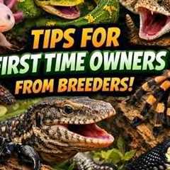 Thinking About Exotic Pets? Watch This FIRST!