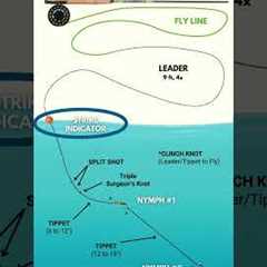 Most Trout Are Caught This Way (Fly Fishing)