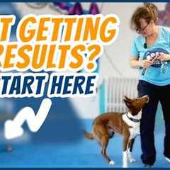 Don't Train Your Dog ... Until You Do THIS!