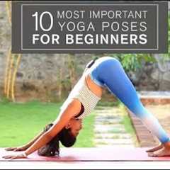 Beginners Yoga Series: 10 Most Important Yoga Poses for Beginners