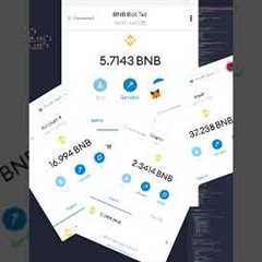 BNB FLASHLOAN | PancakeSwap FRONT RUN BOT Crypto Bot Sniper Bot Profits.