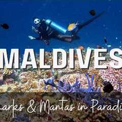 The Maldives: A Luxury Diving Experience Like No Other