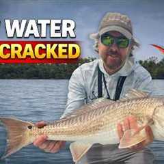 How To Catch An Inshore Slam In New Waters (Cape Coral Edition)