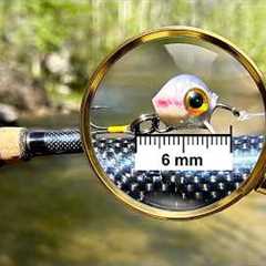 Can Fish Even See These Lures?