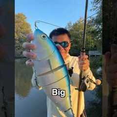 World’s Most REALISTIC But RIDICULOUS Bait EVER…